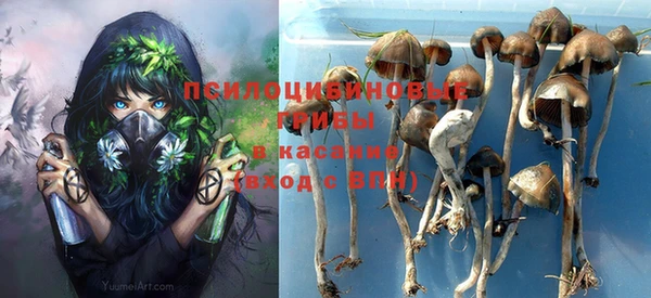 кокс Абаза