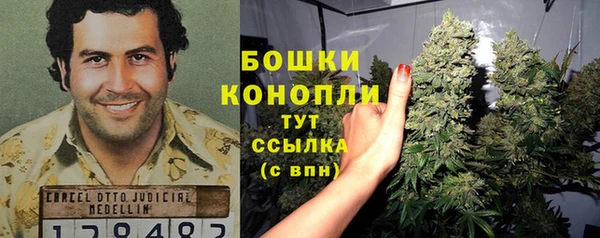 ECSTASY Вяземский