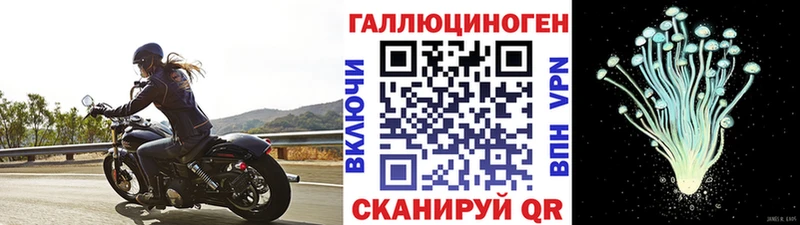 Галлюциногенные грибы прущие грибы Катав-Ивановск