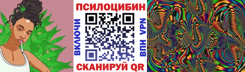 ОМГ ОМГ tor  Катав-Ивановск  Галлюциногенные грибы Psilocybe 